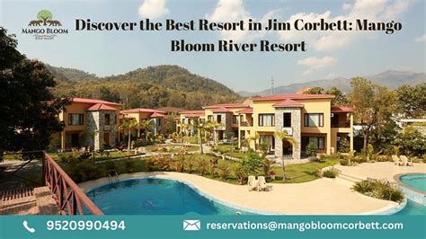manila resort uttarakhand|The Best Resort in Jim Corbett for Nature Lovers.